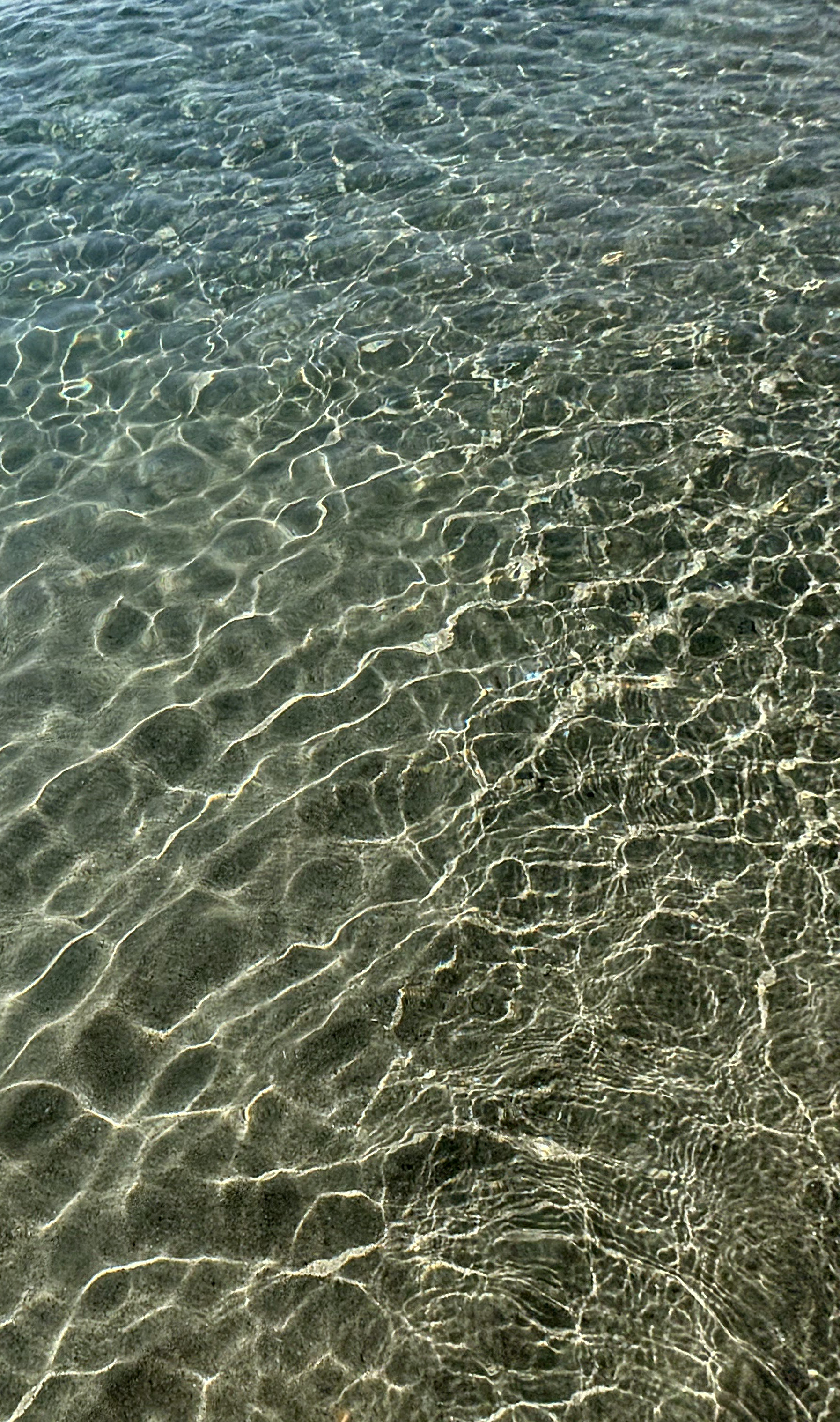 Immagine della sottomissione
