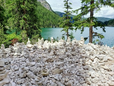 Equilibrio tra ordine e disordine