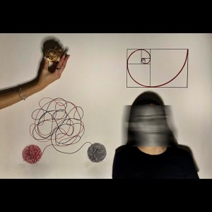 L’ordine di una conchiglia