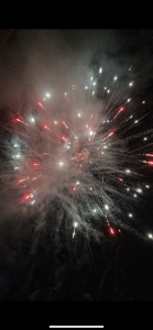 Festa scientifica