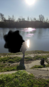 L'Appel du Vide