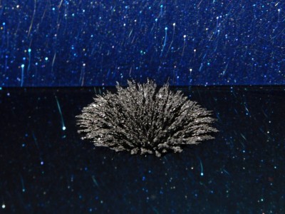 Ordine Magnetico