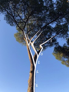 Naturalmente in disordine con Fibonacci