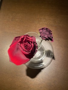 il tempo delle rose