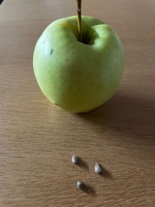 il tempo è vita
