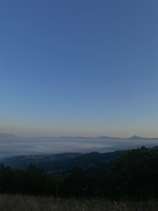 Oltre la nebbia