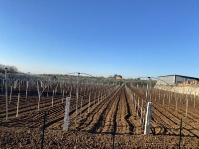 Un ordine alla natura