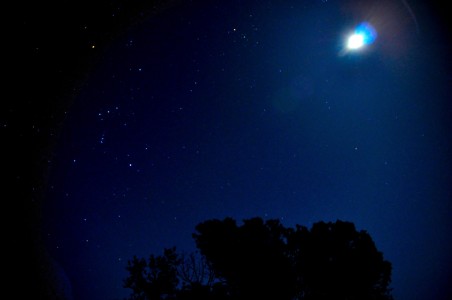 Sempre più in alto... fino alle stelle