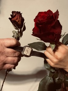 il fiore del tempo