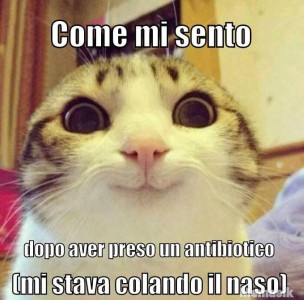 L'antibiotico mi salverà! (Forse)