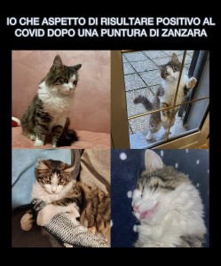 Puntura di Covid