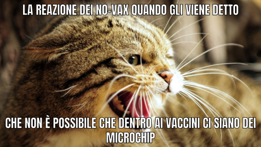 Attenti ai Microchip!