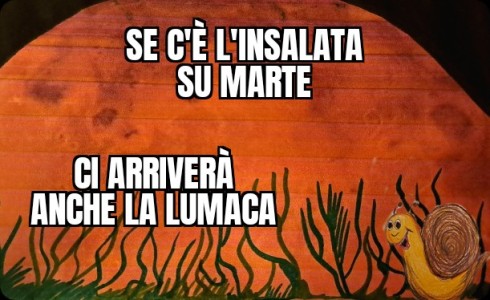 una seconda vita