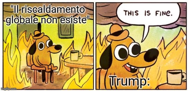 Cecità