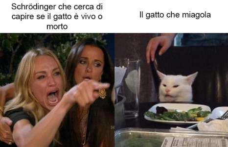 Quando il gatto non vuole collaborare: la sconfitta di Schrödinger