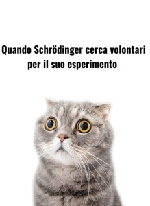 Gatto o non gatto?
