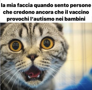 vaccino e autismo: causa ed effetto?