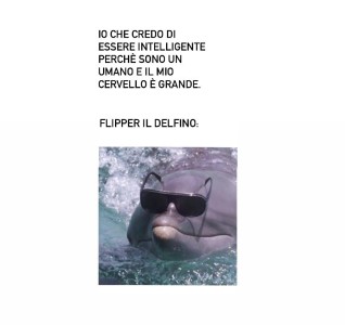 Questione di cervelli